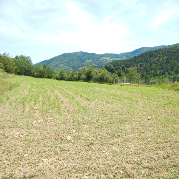 Offres de vente Terrain Satillieu 07290