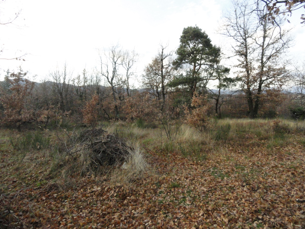 Offres de vente Terrain Quintenas 07290